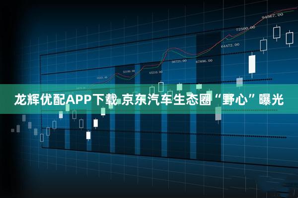 龙辉优配APP下载 京东汽车生态圈“野心”曝光